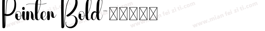 Pointer Bold字体转换